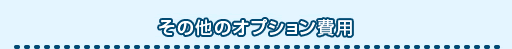その他のオプション費用